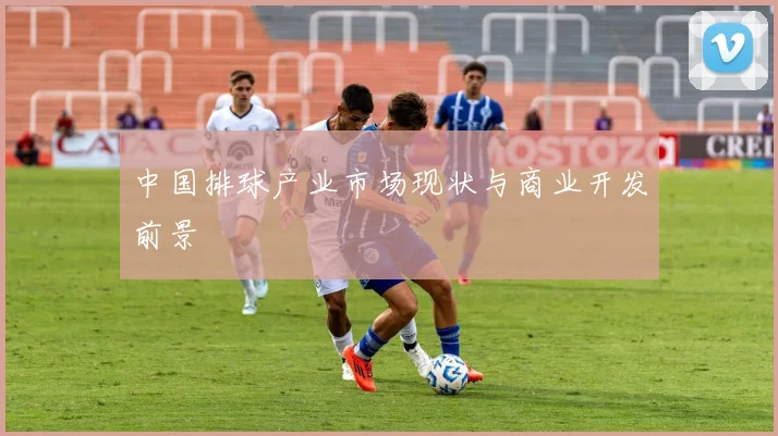 中国排球产业市场现状与商业开发前景