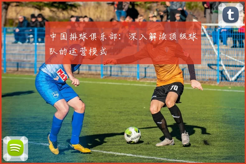 中国排球俱乐部：深入解读顶级球队的运营模式
