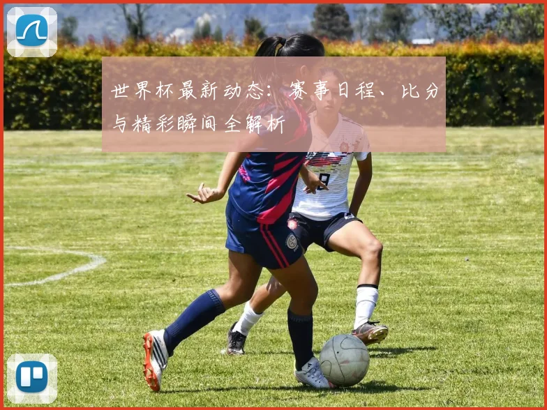 世界杯最新动态：赛事日程、比分与精彩瞬间全解析